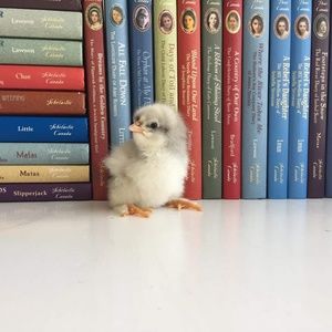 Meet your Posher, Anna